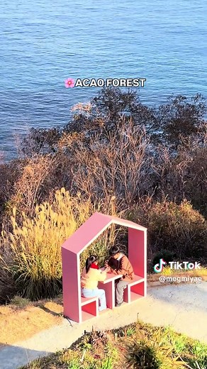 熱海の桜と海の絶景を楽しむ日帰り旅行