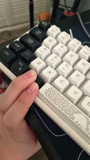 My 2007 iMac has Mac OS and windows 10