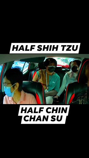 149K views · 1.7K reactions | MIX BREED SABI NI TITA | Don Vertos tv | Facebook