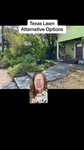 Texas Lawn Alternatives Showcase: Real-Life Examples & Ecosystem Benefits
