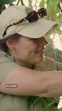 The remarkable resilience of this possum mother | Rescue Diaries