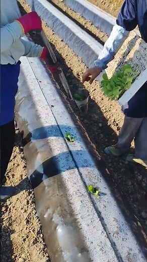 DIY Farming 🌱 | Simple Farm Hacks and Easy Agriculture Tips