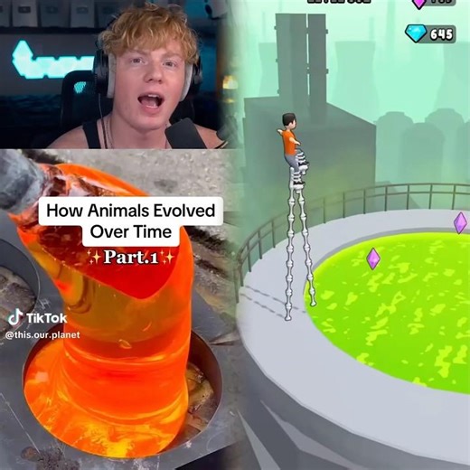 How Animals Evolved Over Time! 😱