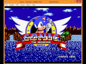 Sonic 1 : Game Crash Glitch
