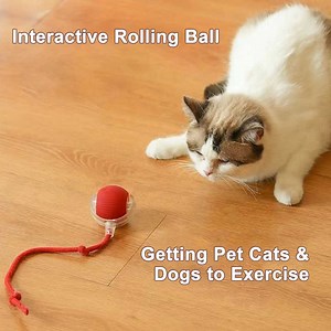 Smart Pet Toy 360° Automatic Interactive Dog Smart Ball Toy With Rope Interactive Cat Toys USB Charger Rolling Ball for Cats