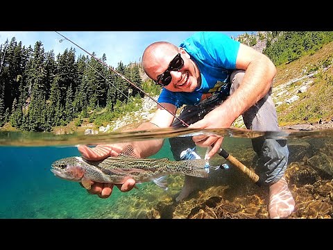 MOUNTAIN TROUT Fishing in PARADISE (Catch & Cook) AquaView