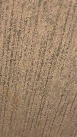 Post Super Bowl. Yikes. #fyp #poop #poopsandgiggles #poo