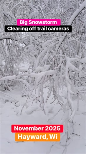 November 26 2025 In Hayward, Wi we are Snowbound and tree covered up here as we just got blasted with 10 inches of heavy wet snow! Great start to the snowmobiling season beginning real soon as it’s much needed for sure💯👊🏕️💪 | Fish Crazed Guiding