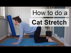 Pilates exercises - The Cat Stretch