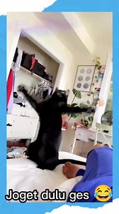 1.3M views · 53K reactions | Jogetin aja 藍 #kucingviral #cat #kucinglucu #videokucing #kucing #catvideos #dance #catdance #jogetviral | Masdita Sukisno Putro | Facebook