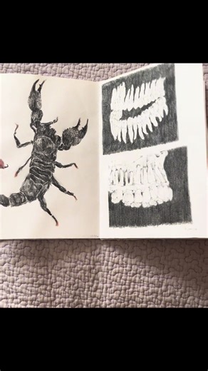 Exploring My New Illustration Booklet