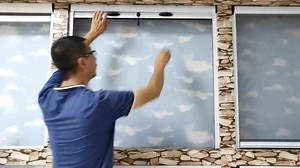 Professional Retractable Household Mosquito Netting Aluminum Roller Screen Window