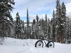 15 Things to Do in Montana in the Winter