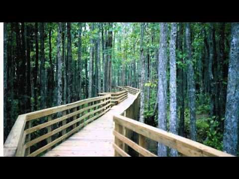 Be Thou My Vision (Piano, Soprano, Violin)