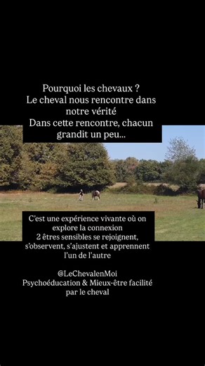Les études démontrent que la rencontre entre l’humain et le cheval...