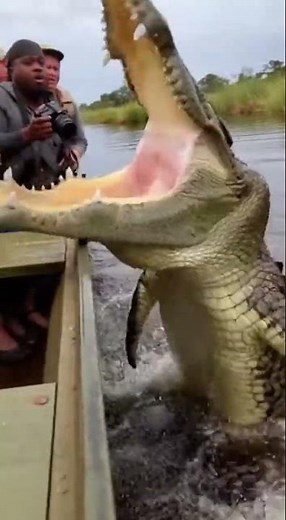 Crocodile Explodes From Water 😱 | Boat Ride Turned Terror