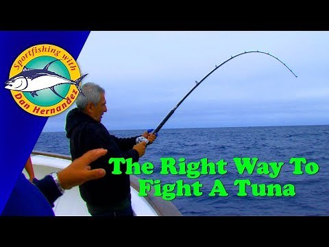 The Right WAY To Fight A TUNA | SPORT FISHING