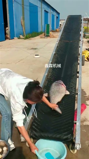 Belt Conveyor Installed on Platform | Smooth Material Handling. #shorts