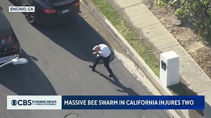 DANGEROUS BEE SWARM: At least two people were sent to the hospital after being attacked by a swarm of bees in Southern California. Thousands of aggressive bees forced first responders to shut down roads and warn people to stay indoors. | CBS Evening News