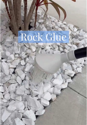 Rocks Won't Stay Out? Tips for Your Lawn & Garden