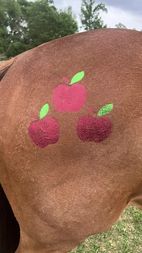 Creative Equestrian Outfits for My Little Pony Fans