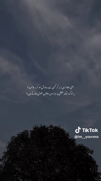 1 galti per 🤌🏻❤️‍🩹#foryou #foryoupage #urdupoetry #sadpoetry #urdushayari