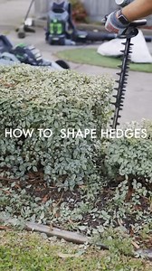 Chris from Jim’s Mowing Seddon is here with expert hedge trimming tips! ​ 📞 Call 131 546 for a free quote today. ​ #JimsMowing #HedgeTrimming #Gardening | Jim's Mowing