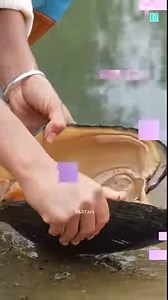 The most dangerous music instrument in the world 🌎.. | technicallyfact