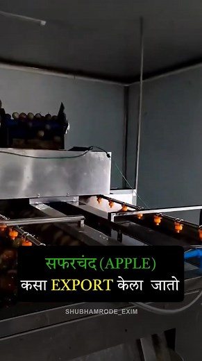 4.7K views · 21 reactions | भारतामधून सफरचंद (Apple) Export कसं...