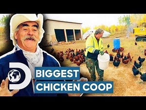 The Biggest Chicken Coop In Homestead History! | Homestead Rescue