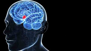 Antidiuretski hormon (ADH, vazopresin)