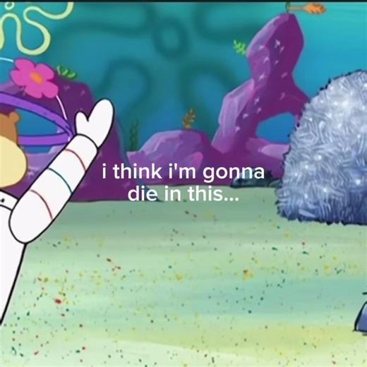 💔💔💔#fyp #spongebob #blowup #viral #real | find the hay in the needlestack spongebob