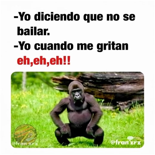 Dices que no sabes bailar Pero empiezan aplaudir y el cuerpo lo sabe no se puede negar #memes #baile #dance #viral #funny