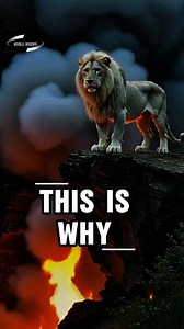 They don’t understand your path because they were never meant to walk it. Some people are assigned to witness growth, not participate in it. Leadership is lonely before it becomes visible. Follow for daily strength & lions mindset motivation. Share with someone who needs this today #LeadershipJourney #ChosenPath #SoloGrowth #InnerStrength #LifePurpose | Noble Words