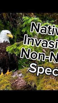 Native vs Invasive vs Non-Native Species