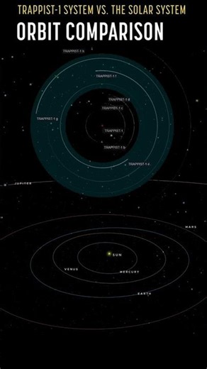 Trappist 1 System VS The Solar System