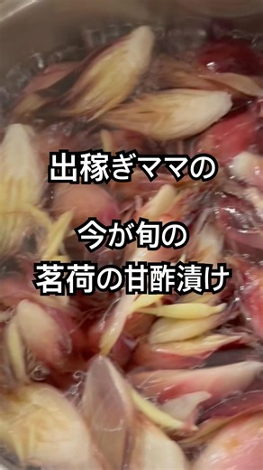 【簡単レシピ】出稼ぎママの旬の茗荷で保存食！茗荷の甘酢漬け作ってみたよ
