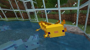 Minecraft axolotl guide - how to find, breed, and tame