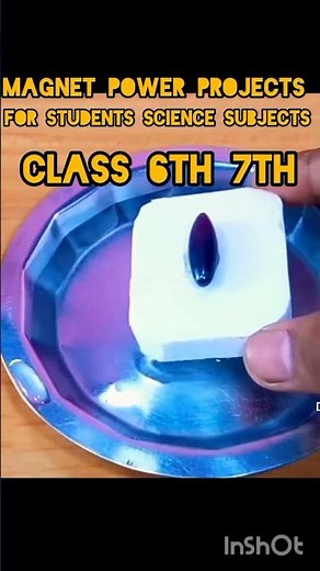 magnet 🧲 power projects activity for students science subjects class 6th 7th science