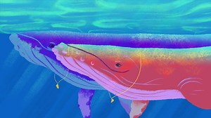 36 bits of good news to cure your ocean blues