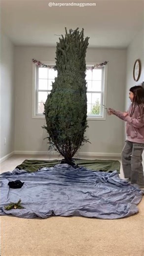 Christmas tree surprised the girl 😍