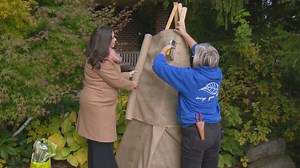 Get Growing: Protecting broadleaf evergreens