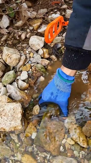 I Made an Extraordinary Discovery with a Powerful metal detector #metaldetecting #viralshorts