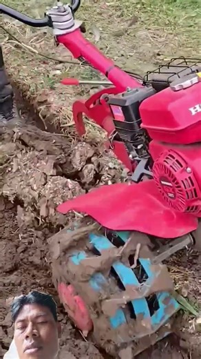 Traktor Mini Kerja Keras di Tanah Berlumpur! 💪🚜 #PertanianModern