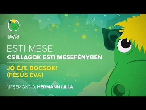 Esti mese | Fésűs Éva: Jó éjt, bocsok! | Csukás Meserádió