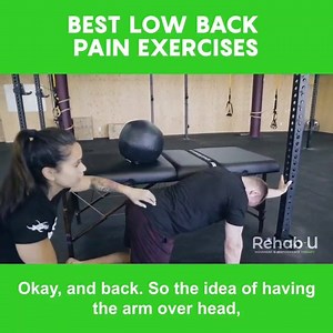 150K views · 1K reactions | Bird-dogs and dead bugs are the usual go-to exercises for low back pain. But have you thought about whether they are right for all the different manifestations of low back pain? So what are the 3 Best Exercises for Low Back Pain? READ FULL ARTICLE  https://rehab-u.com/blog/3-best-exercises-for-low-back-pain/ | Mai - Rehabu | Facebook