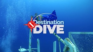 367K views · 5K reactions | The Vandenberg is an awe-inspiring shipwreck that was a missile-tracking ship during the Cold War and subsequently tracked Florida space launches. Watch footage of its sinking as an artificial reef, along with a trip to the Lower Keys' Underwater Music Festival, in this week's episode of Destination Dive TV, 8 a.m. on Discovery, Sunday, Aug. 27. 錄 | The Florida Keys & Key West | Facebook