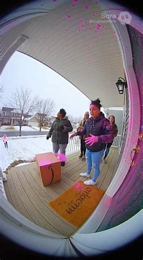 Christmas Porch Pirate CHAOS...🎄📦 Instant KARMA!