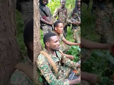 Poolisii Humna Addaa Oromiyaa Waamicha WBO godheef fudhachuu WBO Gujii Lixaati Dabalaman