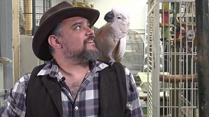 Saving abused birds helped this Grand Rapids man tackle his own trauma